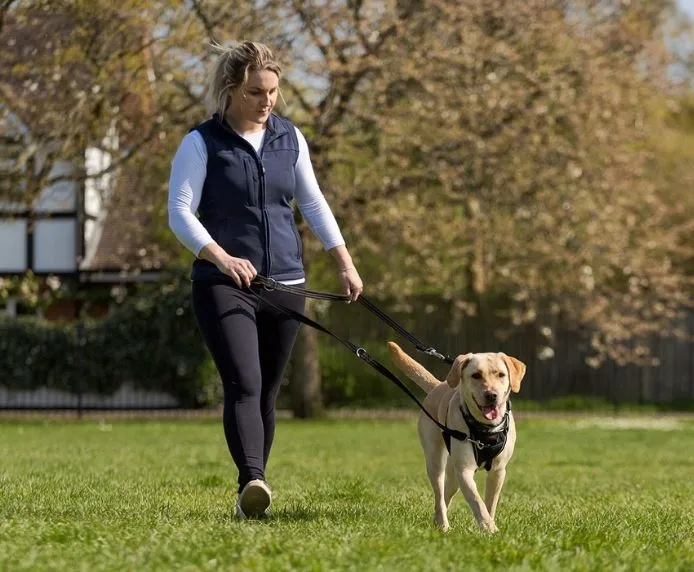 Halti No Pull Harness